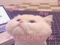 宁夏荣昌养殖专业合作社