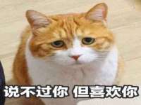 宁夏荣昌养殖专业合作社