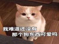 宁夏荣昌养殖专业合作社