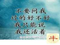 宁夏荣昌养殖专业合作社