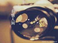 宁夏荣昌养殖专业合作社