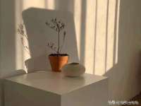 宁夏荣昌养殖专业合作社