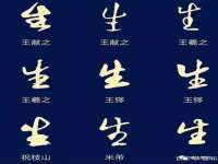 宁夏荣昌养殖专业合作社