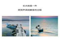 宁夏荣昌养殖专业合作社