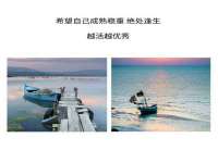 宁夏荣昌养殖专业合作社
