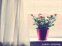 宁夏荣昌养殖专业合作社