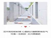 宁夏荣昌养殖专业合作社
