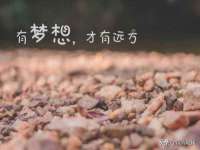 宁夏荣昌养殖专业合作社