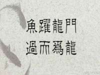宁夏荣昌养殖专业合作社