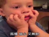 宁夏荣昌养殖专业合作社