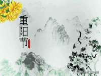 宁夏荣昌养殖专业合作社
