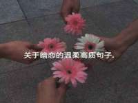 宁夏荣昌养殖专业合作社