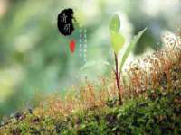 宁夏荣昌养殖专业合作社
