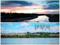 宁夏荣昌养殖专业合作社