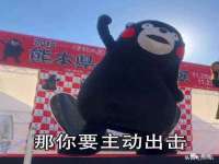 宁夏荣昌养殖专业合作社