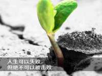 宁夏荣昌养殖专业合作社