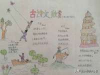 宁夏荣昌养殖专业合作社