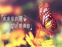 宁夏荣昌养殖专业合作社