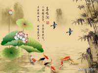 宁夏荣昌养殖专业合作社