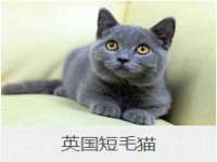 宁夏荣昌养殖专业合作社