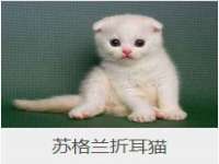 宁夏荣昌养殖专业合作社