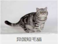 宁夏荣昌养殖专业合作社