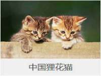 宁夏荣昌养殖专业合作社