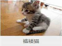 宁夏荣昌养殖专业合作社