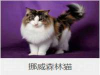 宁夏荣昌养殖专业合作社
