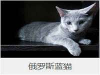 宁夏荣昌养殖专业合作社