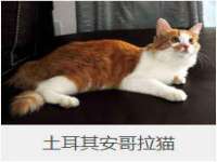 宁夏荣昌养殖专业合作社