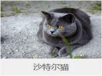 宁夏荣昌养殖专业合作社