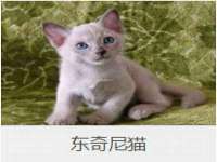 宁夏荣昌养殖专业合作社