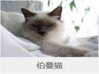 宁夏荣昌养殖专业合作社