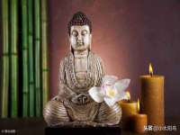 宁夏荣昌养殖专业合作社