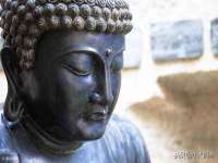 宁夏荣昌养殖专业合作社