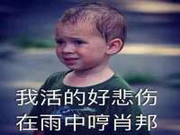 宁夏荣昌养殖专业合作社