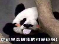 宁夏荣昌养殖专业合作社