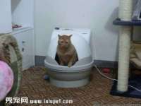 宁夏荣昌养殖专业合作社