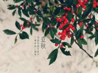 宁夏荣昌养殖专业合作社