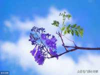 宁夏荣昌养殖专业合作社