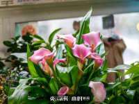 宁夏荣昌养殖专业合作社