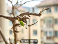 宁夏荣昌养殖专业合作社