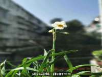 宁夏荣昌养殖专业合作社
