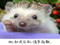 宁夏荣昌养殖专业合作社
