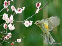 宁夏荣昌养殖专业合作社