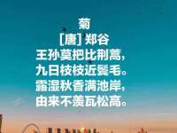 宁夏荣昌养殖专业合作社
