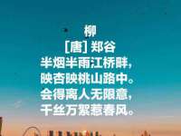 宁夏荣昌养殖专业合作社