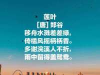 宁夏荣昌养殖专业合作社