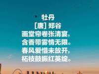 宁夏荣昌养殖专业合作社